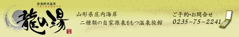 山形県庄内海岸　湯野浜温泉　龍の湯